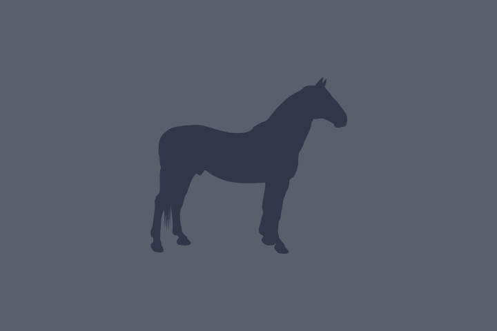 INDIGO TAME