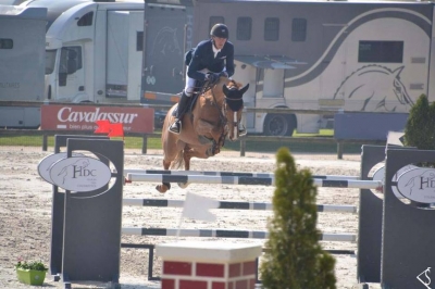 Une fille de PANAMA TAME sous la selle de Kevin STAUT