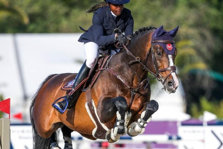CONSUL DL VIE Z rejoint le Haras de Tamerville !